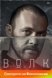Смотреть  Волк  