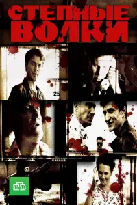 Смотреть  Степные волки  